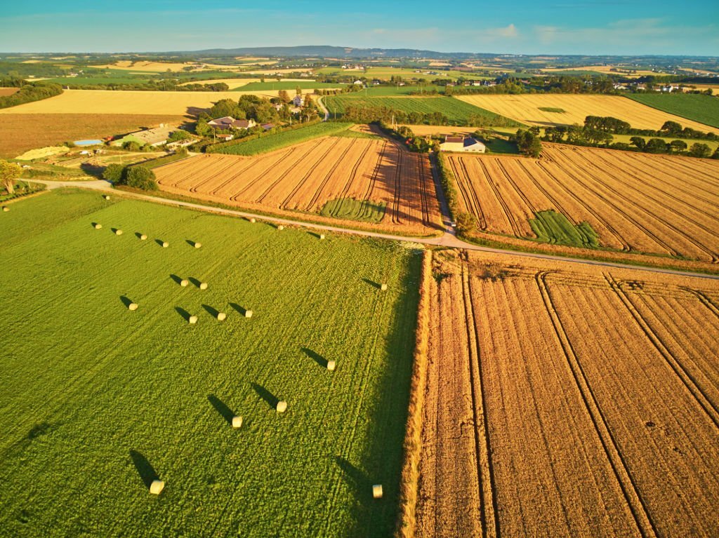 Who We Are - Geospatial Field Survey